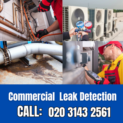 Commercial Leak Detection Services in Belvedere | Belvedere Leak Detection
