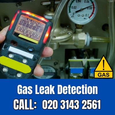 Expert Gas Leak Detection Services in Belvedere | Belvedere Leak Detection