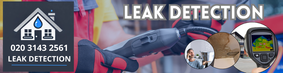 Belvedere Leak Detection