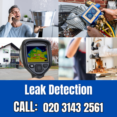 Comprehensive Leak Detection Services in Belvedere | Belvedere Leak Detection