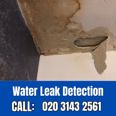 Expert Water Leak Detection Services in Belvedere | Belvedere Leak Detection